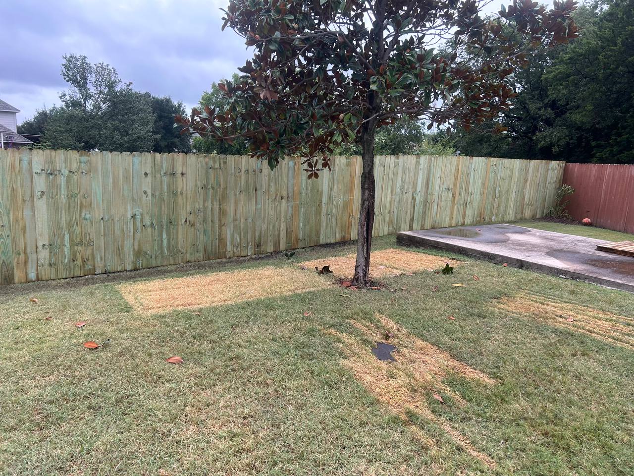 photo_2026-03-24_12-58-05